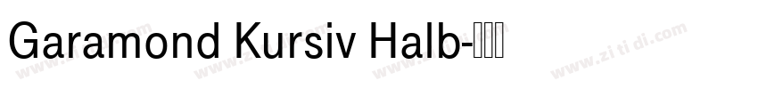 Garamond Kursiv Halb字体转换